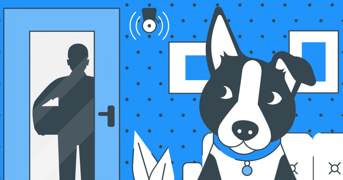 - Housecall Pro Dog Info
