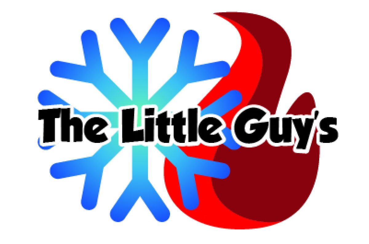 Logo for The Little Guy's Heating and Air Conditioning