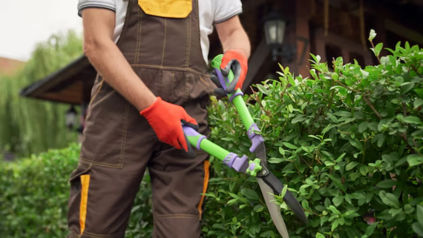 - Housecall Pro landscaping pro working with Hedge shears