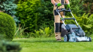 How to Collect Payments for Lawn Care ...