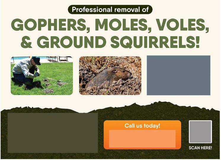 - Housecall Pro pest control postcard design example