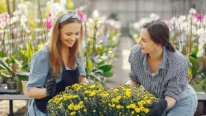 10+ Lawn and Landscaping Advertising S...