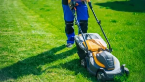 Lawn care & landscaping SEO: A ste...