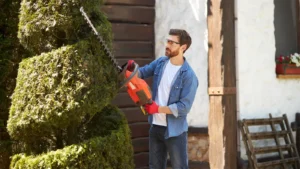 lawn care pro shaping spiral by trimming a tree