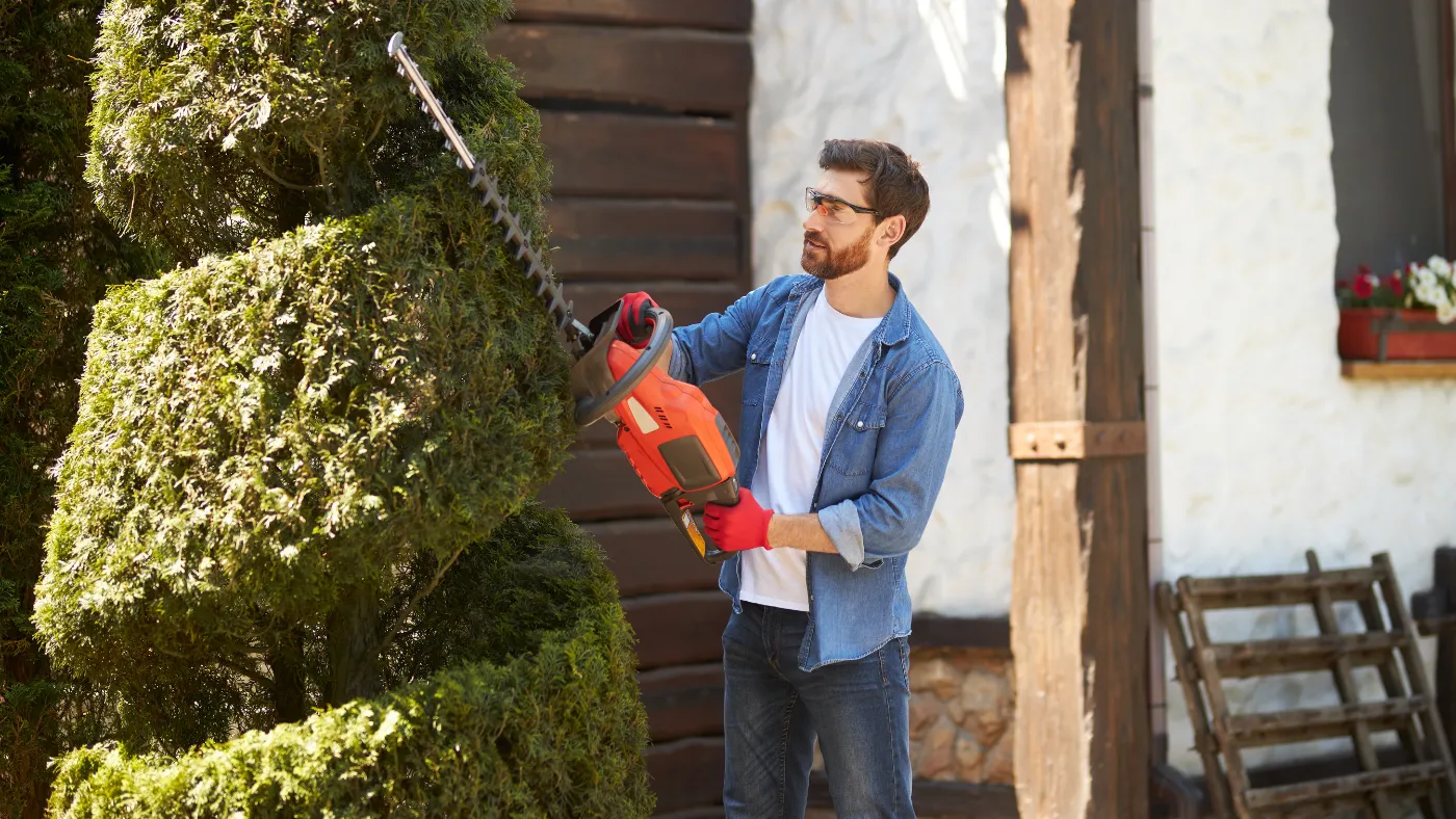 lawn care pro shaping spiral by trimming a tree