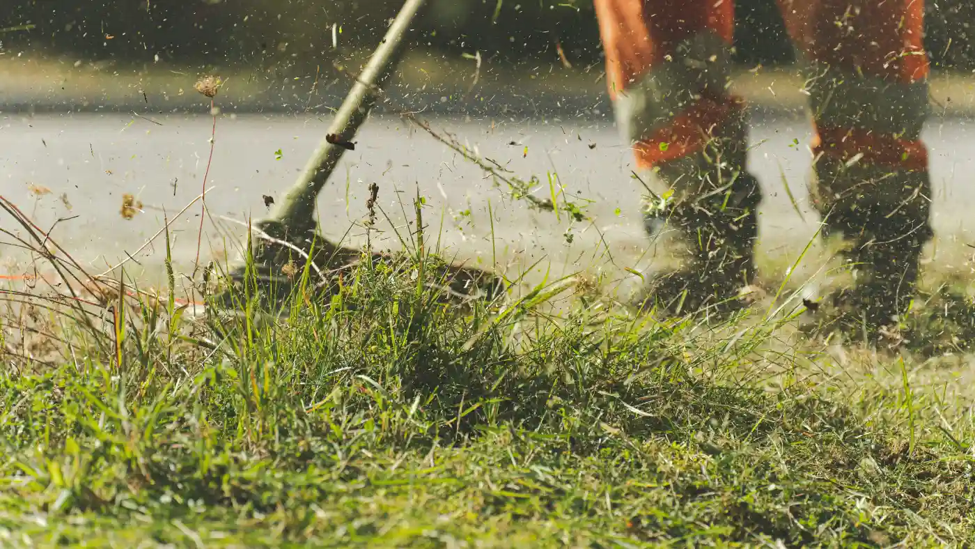lawn care professional trimming the grass