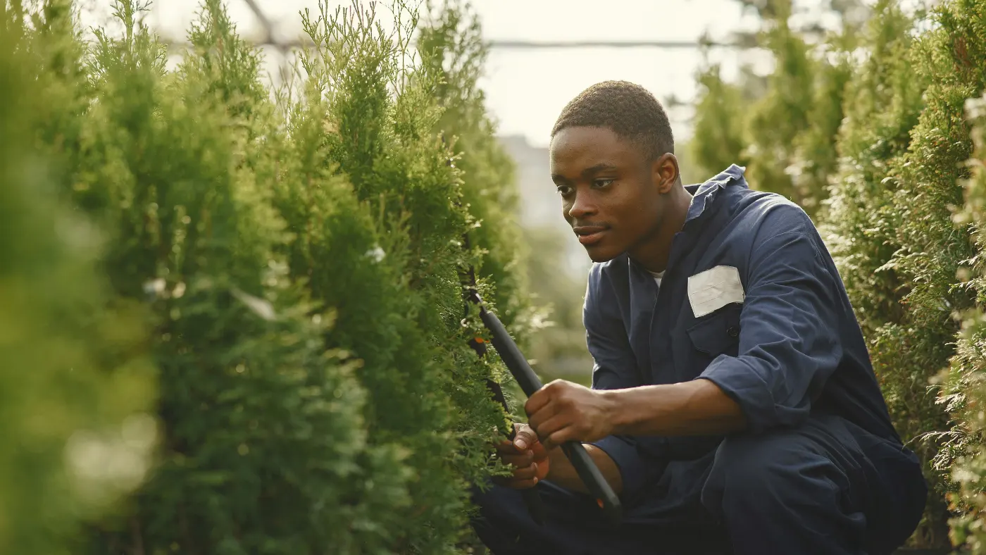 Professional worker trimming plants in a garden