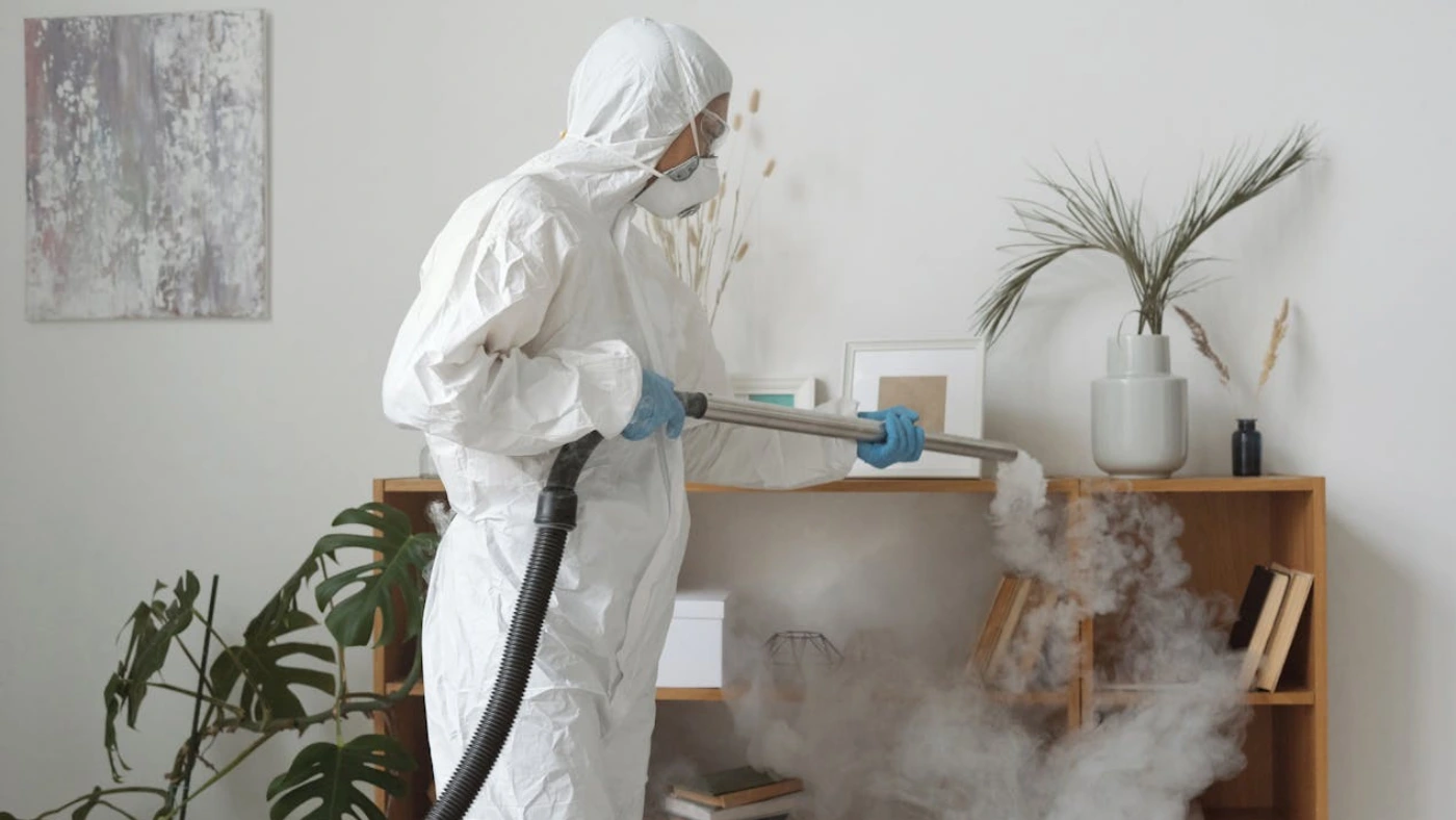 Professional technician fumigating on a wooden shelf