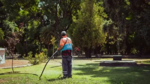 gardener watering in the garden