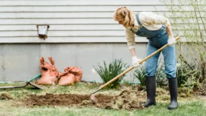Woman Working in Garden using the Garden Hoe