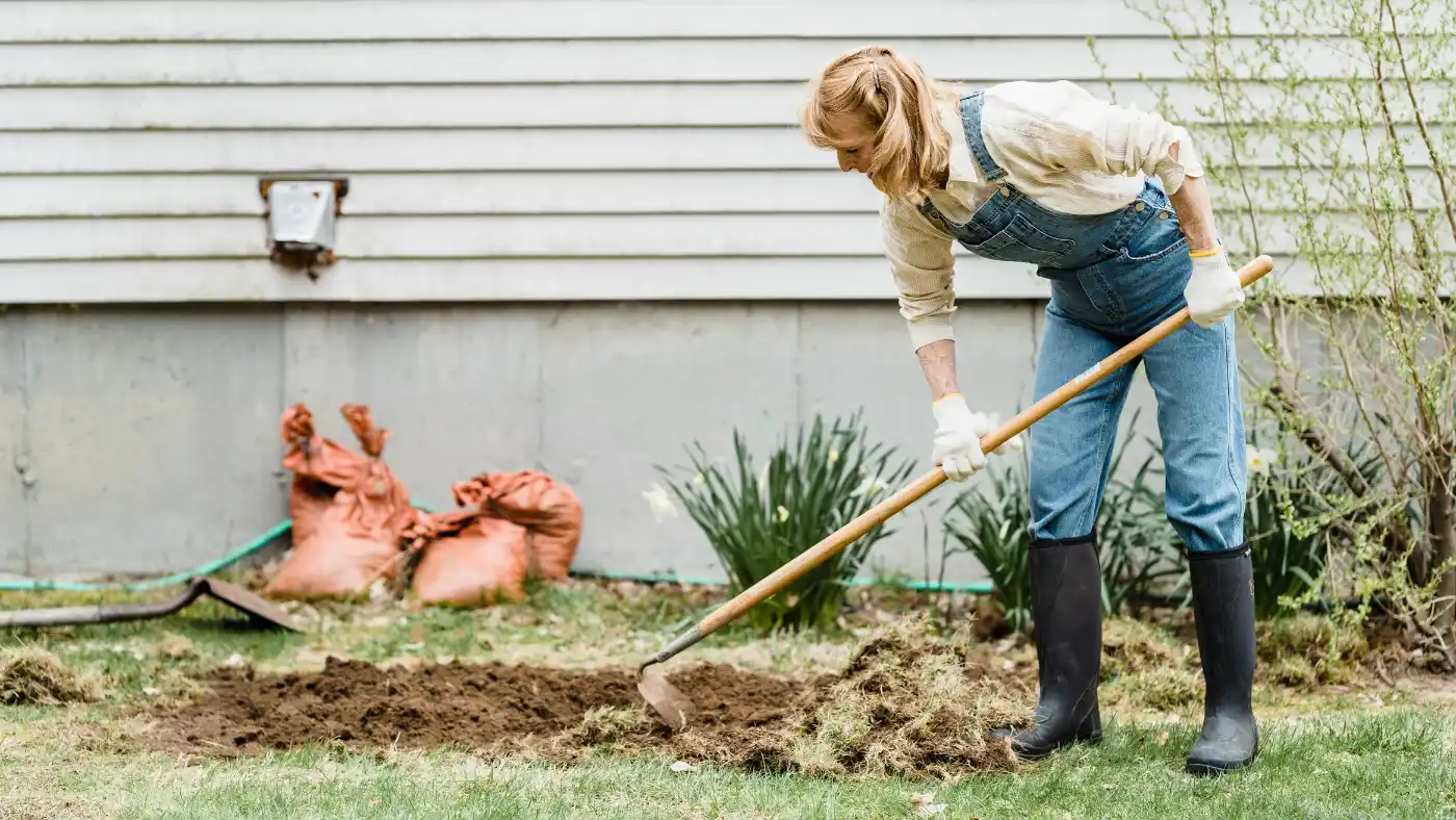 Woman Working in Garden using the Garden Hoe