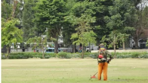 Landscaping professional using a string trimmer to maintain a large lawn in a public park