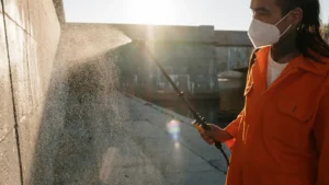 10+ pest control SEO strategies that h...
