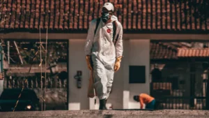 How to write a pest control invoice (+...