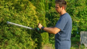 65+ tree trimming company names (and h...