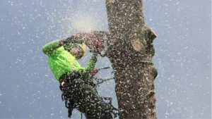 How to price tree service jobs (2026 g...